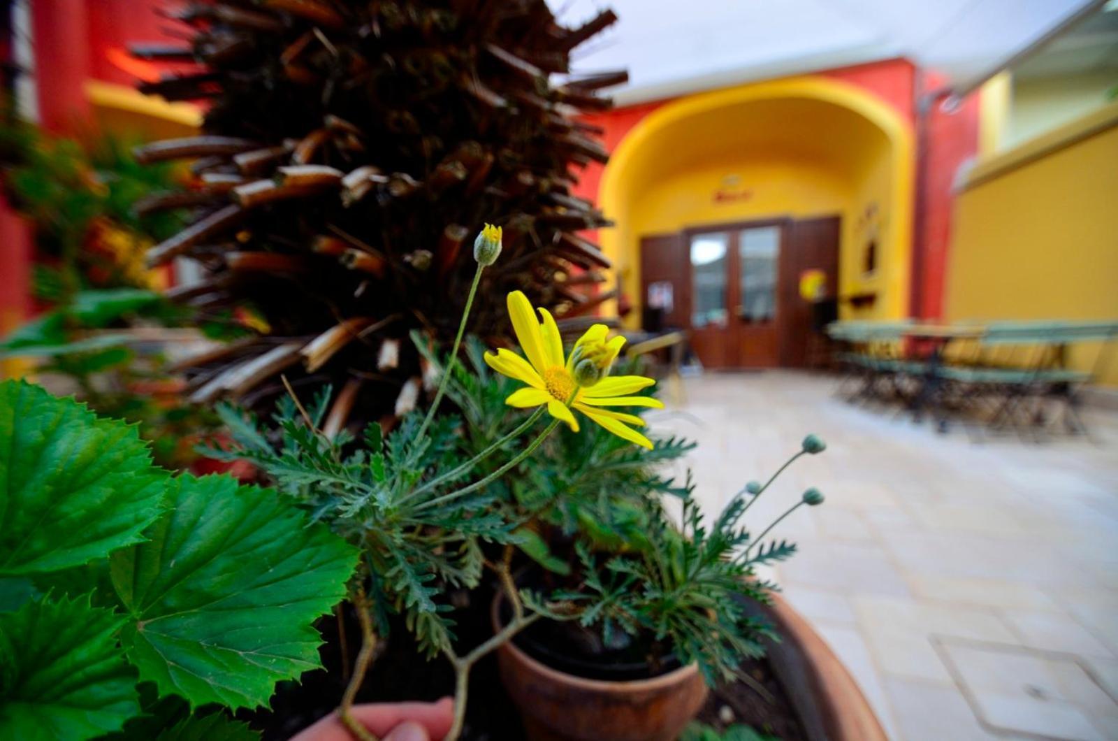 Manouche Osteria B&B San Leucio Exterior foto
