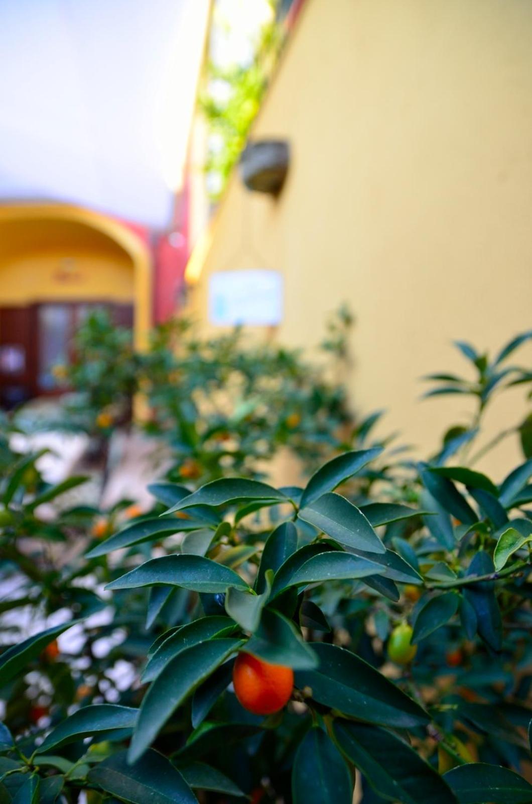 Manouche Osteria B&B San Leucio Exterior foto